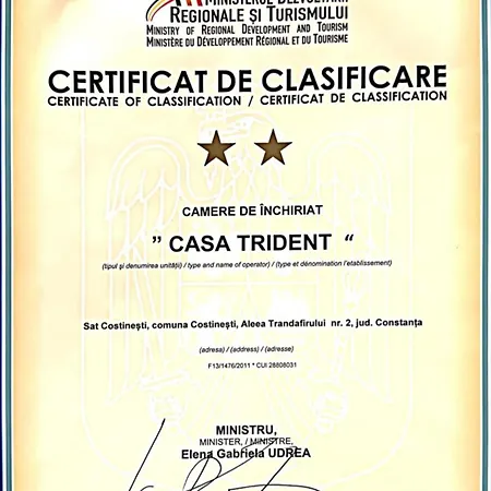 Pensionat Ana Trident Costinesti
